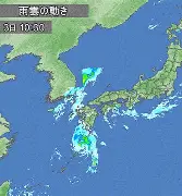 最新：郑钦文梅奔F1为何如此(我国网球运动员郑钦文受伤后最新消息)|多宝真人平台